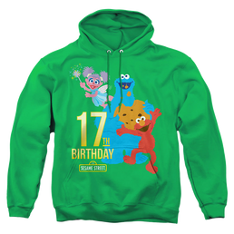 Sesame Street 17Th Birthday - Pullover Hoodie Pullover Hoodie Sesame Street   