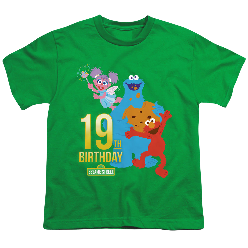 Sesame Street 19Th Birthday - Youth T-Shirt Youth T-Shirt (Ages 8-12) Sesame Street   