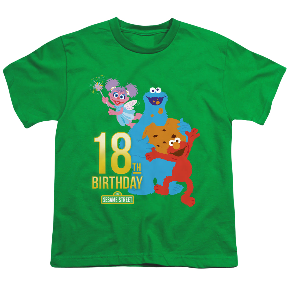 Sesame Street 18Th Birthday - Youth T-Shirt Youth T-Shirt (Ages 8-12) Sesame Street   