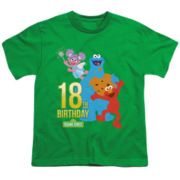 Sesame Street 18Th Birthday - Youth T-Shirt Youth T-Shirt (Ages 8-12) Sesame Street   