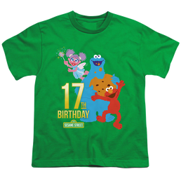 Sesame Street 17Th Birthday - Youth T-Shirt Youth T-Shirt (Ages 8-12) Sesame Street   