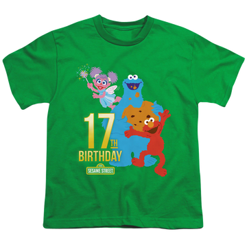 Kelly green youth t-shirt for ages 8 to 12 with Sesame Street 17Th Birthday graphic