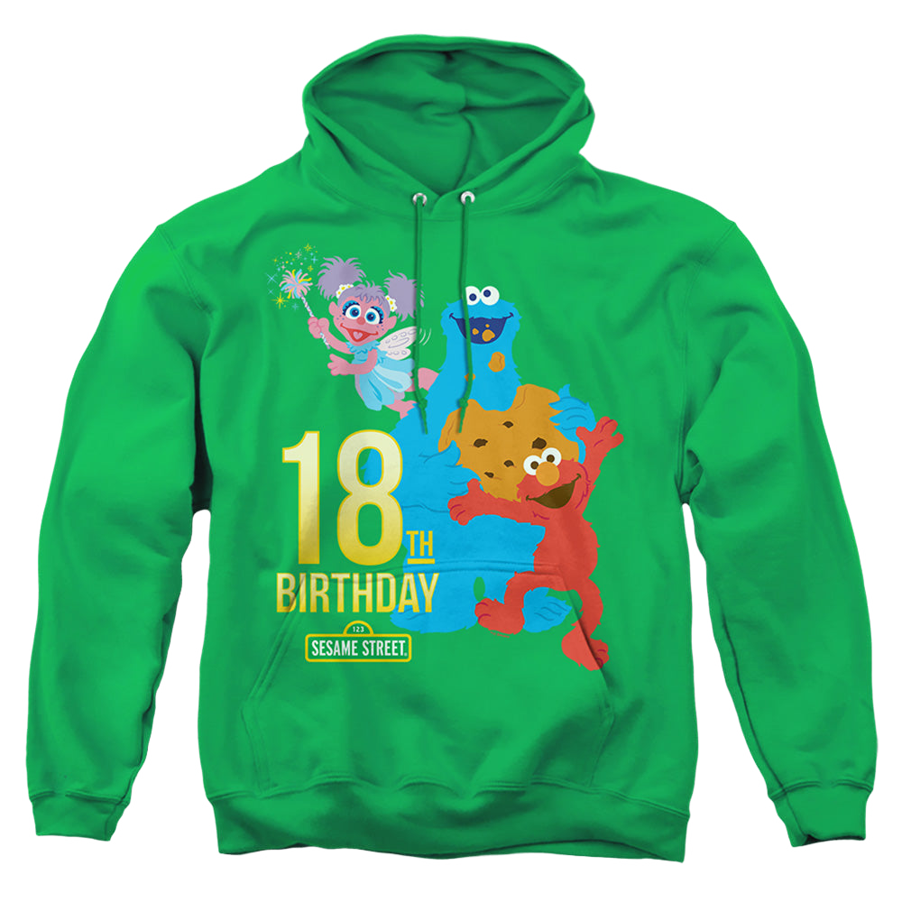 Sesame Street 18Th Birthday - Pullover Hoodie Pullover Hoodie Sesame Street   