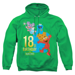 Sesame Street 18Th Birthday - Pullover Hoodie Pullover Hoodie Sesame Street   