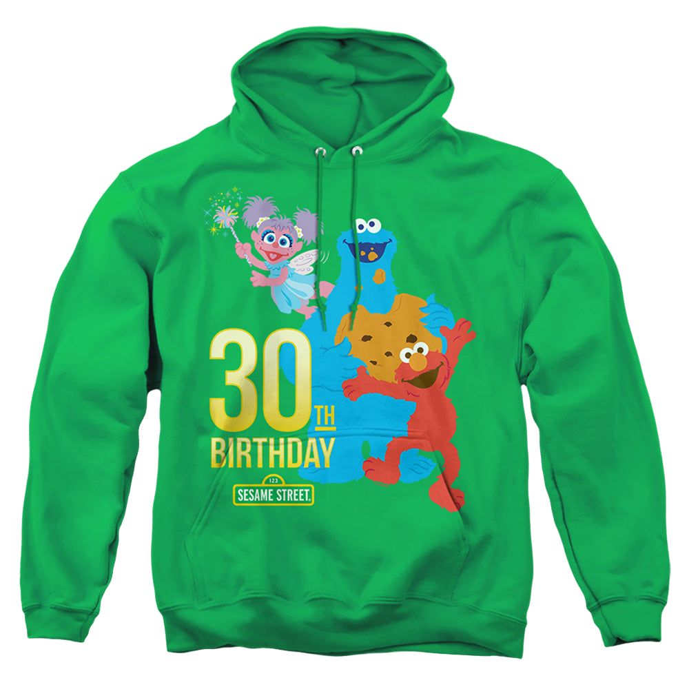 Sesame Street 30Th Birthday - Pullover Hoodie Pullover Hoodie Sesame Street   