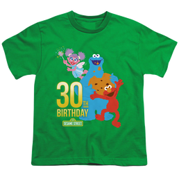 Sesame Street 30Th Birthday - Youth T-Shirt Youth T-Shirt (Ages 8-12) Sesame Street   