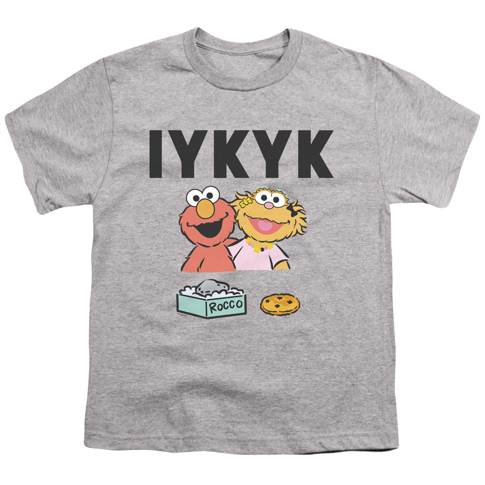 Sesame Street If You Know You Know - Youth T-Shirt Youth T-Shirt (Ages 8-12) Sesame Street   