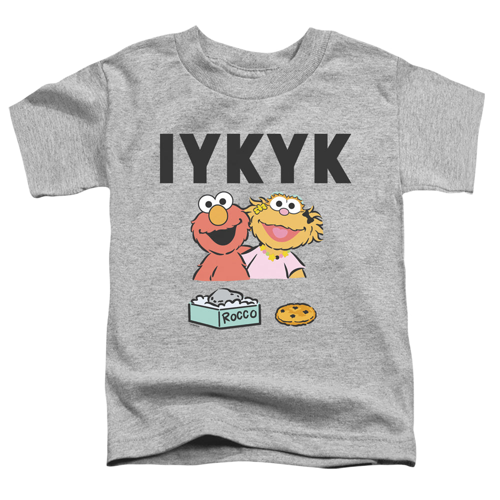 Sesame Street If You Know You Know - Toddler T-Shirt Toddler T-Shirt Sesame Street   