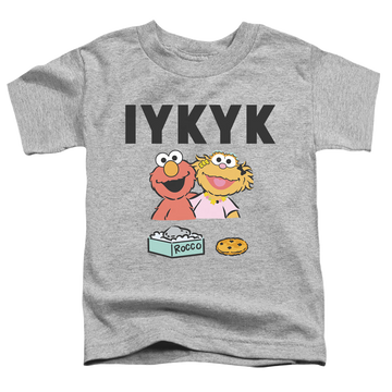 Athletic heather toddler t-shirt with Sesame Street If You Know You Know graphic