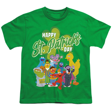 Sesame Street St. Patrick'S Day Big Bird Elmo Cookie Monster - Youth T-Shirt Youth T-Shirt (Ages 8-12) Sesame Street   