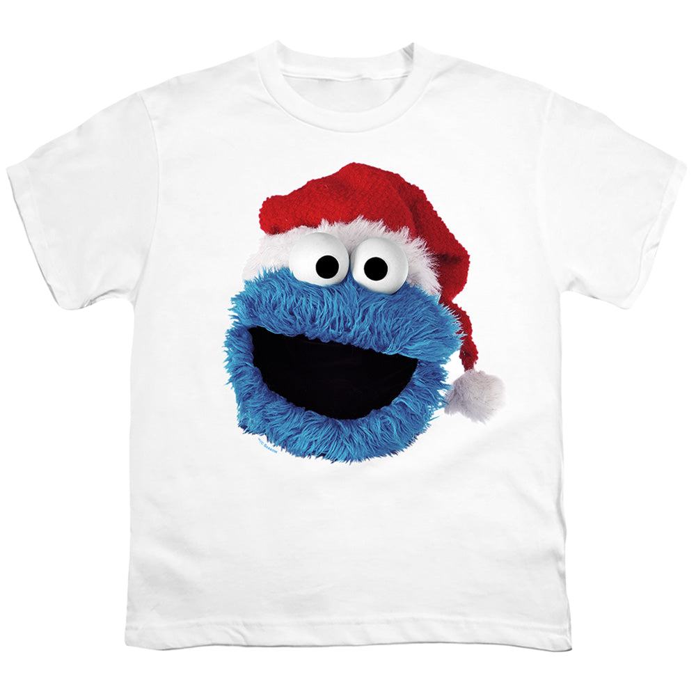 Sesame Street Cookie Monster Christmas Hat - Youth T-Shirt Youth T-Shirt (Ages 8-12) Sesame Street   