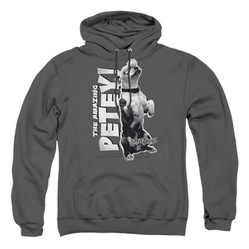 Charcoal pullover hoodie with Little Rascals Amazing Petey graphic