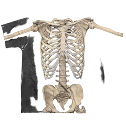 Zombies Skeleton Costume - Youth All-Over Print T-Shirt Youth All-Over Print T-Shirt (Ages 8-12) Zombies   