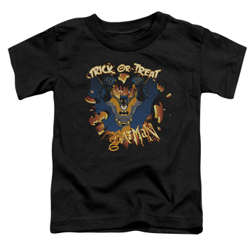DC Batman Pumpkin Burst - Kid's T-Shirt Kid's T-Shirt (Ages 4-7) DC Batman
