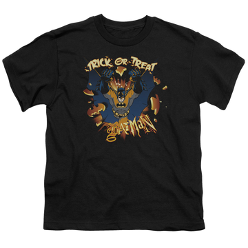 DC Batman Pumpkin Burst - Youth T-Shirt Youth T-Shirt (Ages 8-12) DC Batman