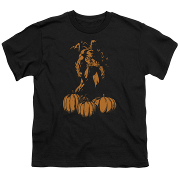 DC Batman A Bat Among Pumpkins - Youth T-Shirt Youth T-Shirt (Ages 8-12) DC Batman