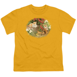 Wild Wings Kittens And Mums - Kid's T-Shirt Kid's T-Shirt (Ages 4-7) Wild Wings