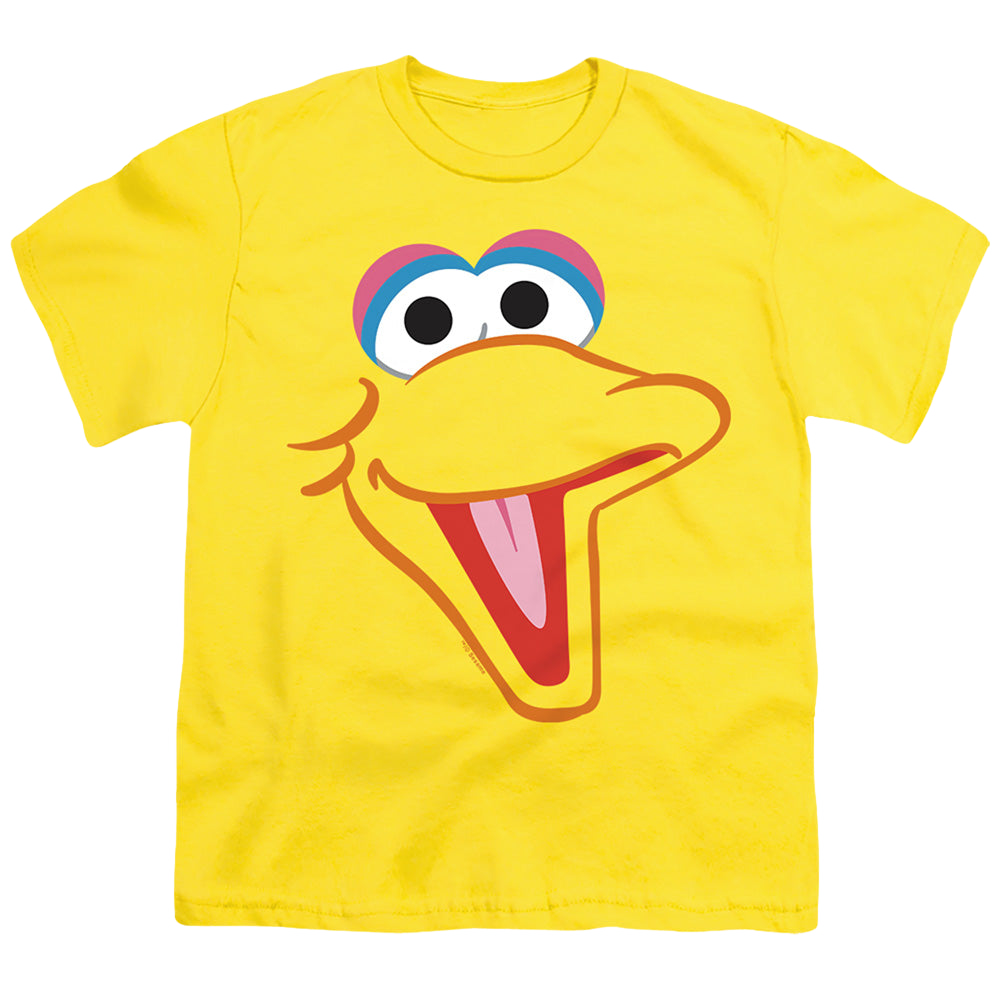 Sesame Street Big Bird Head - Youth T-Shirt Youth T-Shirt (Ages 8-12) Sesame Street   