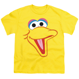 Sesame Street Big Bird Head - Youth T-Shirt Youth T-Shirt (Ages 8-12) Sesame Street   