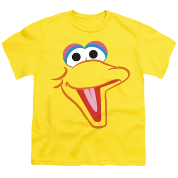 Sesame Street Big Bird Head - Youth T-Shirt Youth T-Shirt (Ages 8-12) Sesame Street   