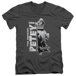 Little Rascals, The Amazing Petey - Men's V-Neck T-Shirt Men's V-Neck T-Shirt Little Rascals, The