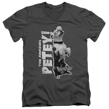 Charcoal men's v-neck t-shirt with The Little Rascals Amazing Petey graphic