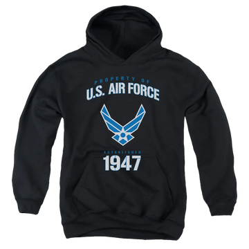 Air Force Property Of - Youth Hoodie (Ages 8-12) U.S. Air Force