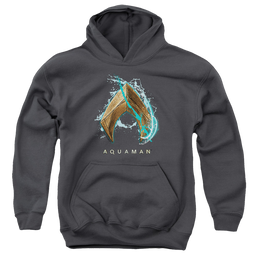 Aquaman Movie Water Shield - Youth Hoodie Youth Hoodie (Ages 8-12) Aquaman   
