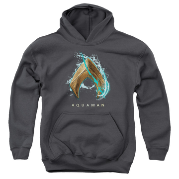 Charcoal youth hoodie for ages 8 to 12 with Aquaman Movie Water Shield graphic