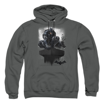 Batman - Arkham Perched - Pullover Hoodie Pullover Hoodie Batman   