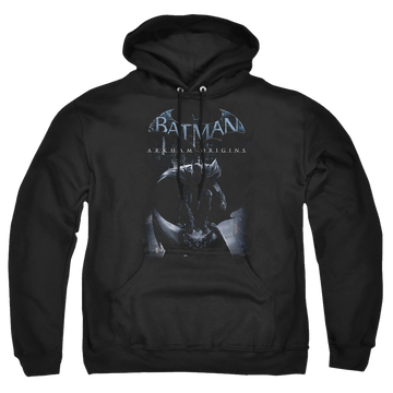 Batman - Arkham Perched Cat - Pullover Hoodie Pullover Hoodie Batman   