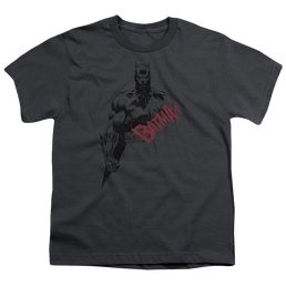 DC Batman Sketch Bat Red Logo - Youth T-Shirt Youth T-Shirt (Ages 8-12) Batman   