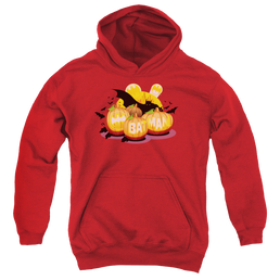 DC Batman Bat O Lanterns - Youth Hoodie Youth Hoodie (Ages 8-12) Batman   