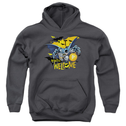 DC Batman Bats Welcome - Youth Hoodie Youth Hoodie (Ages 8-12) Batman   