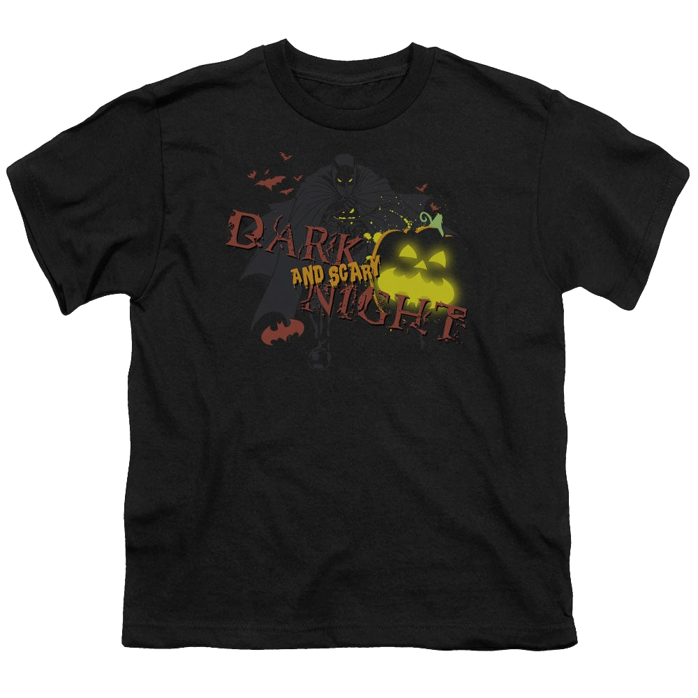 DC Batman Dark And Scary Night - Youth T-Shirt Youth T-Shirt (Ages 8-12) Batman   