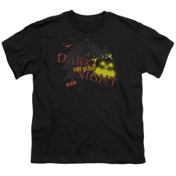 DC Batman Dark And Scary Night - Youth T-Shirt Youth T-Shirt (Ages 8-12) Batman   