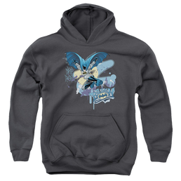 DC Batman Into The Night - Youth Hoodie Youth Hoodie (Ages 8-12) Batman   