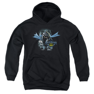 DC Batman From The Depths - Youth Hoodie Youth Hoodie (Ages 8-12) Batman   