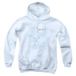 Dc Batman Snowblind Freeze - Youth Hoodie Youth Hoodie (Ages 8-12) Batman   