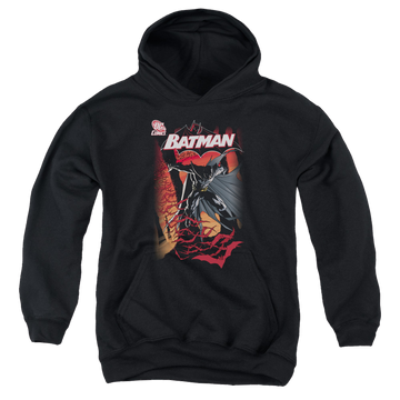 DC Batman #655 Cover - Youth Hoodie Youth Hoodie (Ages 8-12) Batman   
