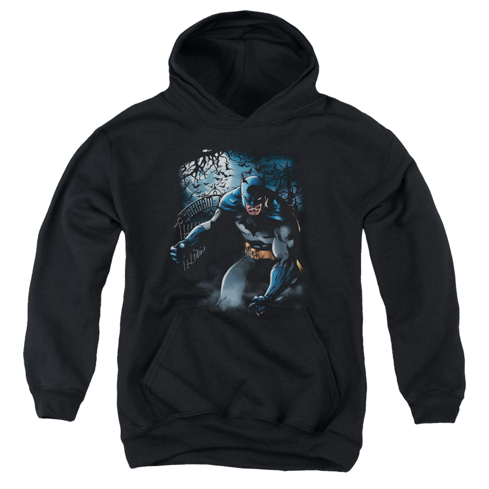 DC Batman Light Of The Moon - Youth Hoodie Youth Hoodie (Ages 8-12) Batman   