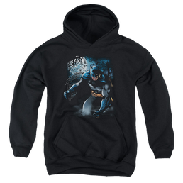 DC Batman Light Of The Moon - Youth Hoodie Youth Hoodie (Ages 8-12) Batman   