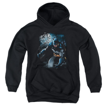 DC Batman Light Of The Moon - Youth Hoodie Youth Hoodie (Ages 8-12) Batman   