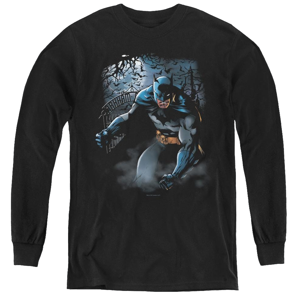 Dc Batman Light Of The Moon - Youth Long Sleeve T-Shirt Youth Long Sleeve T-Shirt Batman   