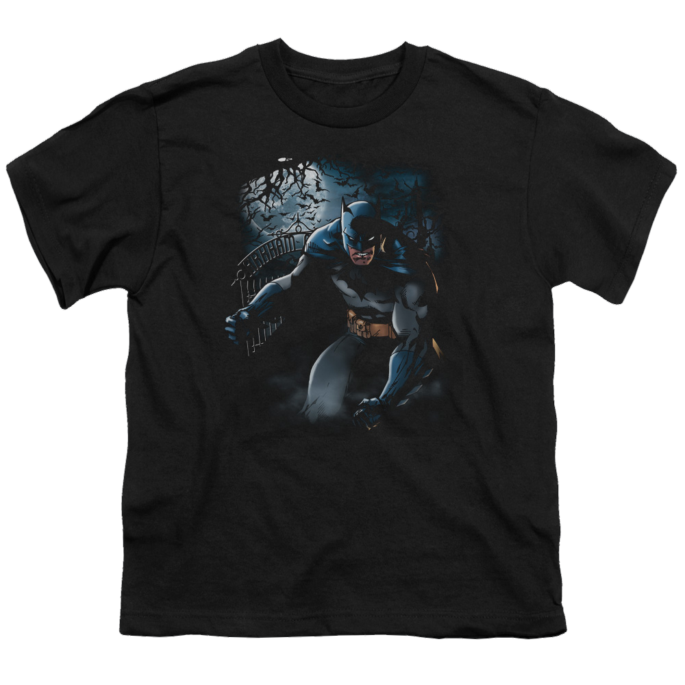 DC Batman Light Of The Moon - Youth T-Shirt Youth T-Shirt (Ages 8-12) Batman   