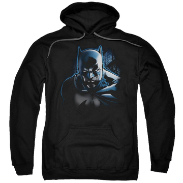 Batman Don't Mess With The Bat - Pullover Hoodie Pullover Hoodie Batman   