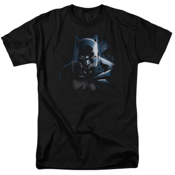 Black men's regular fit t-shirt with Batman Dont Mess With The Bat graphic