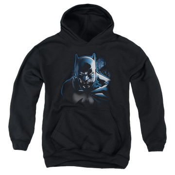 DC Batman Dont Mess With The Bat - Youth Hoodie Youth Hoodie (Ages 8-12) Batman   
