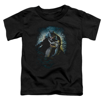 DC Batman Bat Cave - Toddler T-Shirt Toddler T-Shirt Batman   