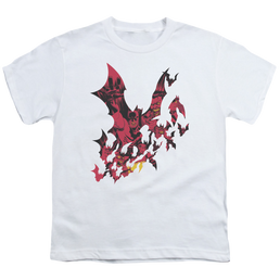 DC Batman Broken City - Youth T-Shirt Youth T-Shirt (Ages 8-12) Batman   